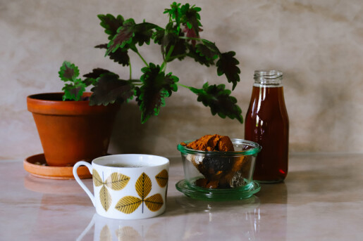 chaga sprängticka