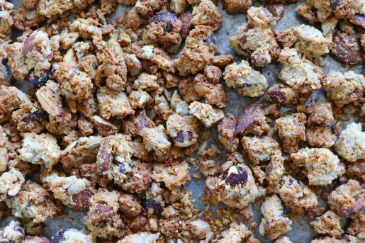 Granola Lesscarbs