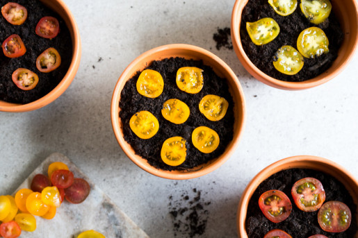 Plantera tomatskivor